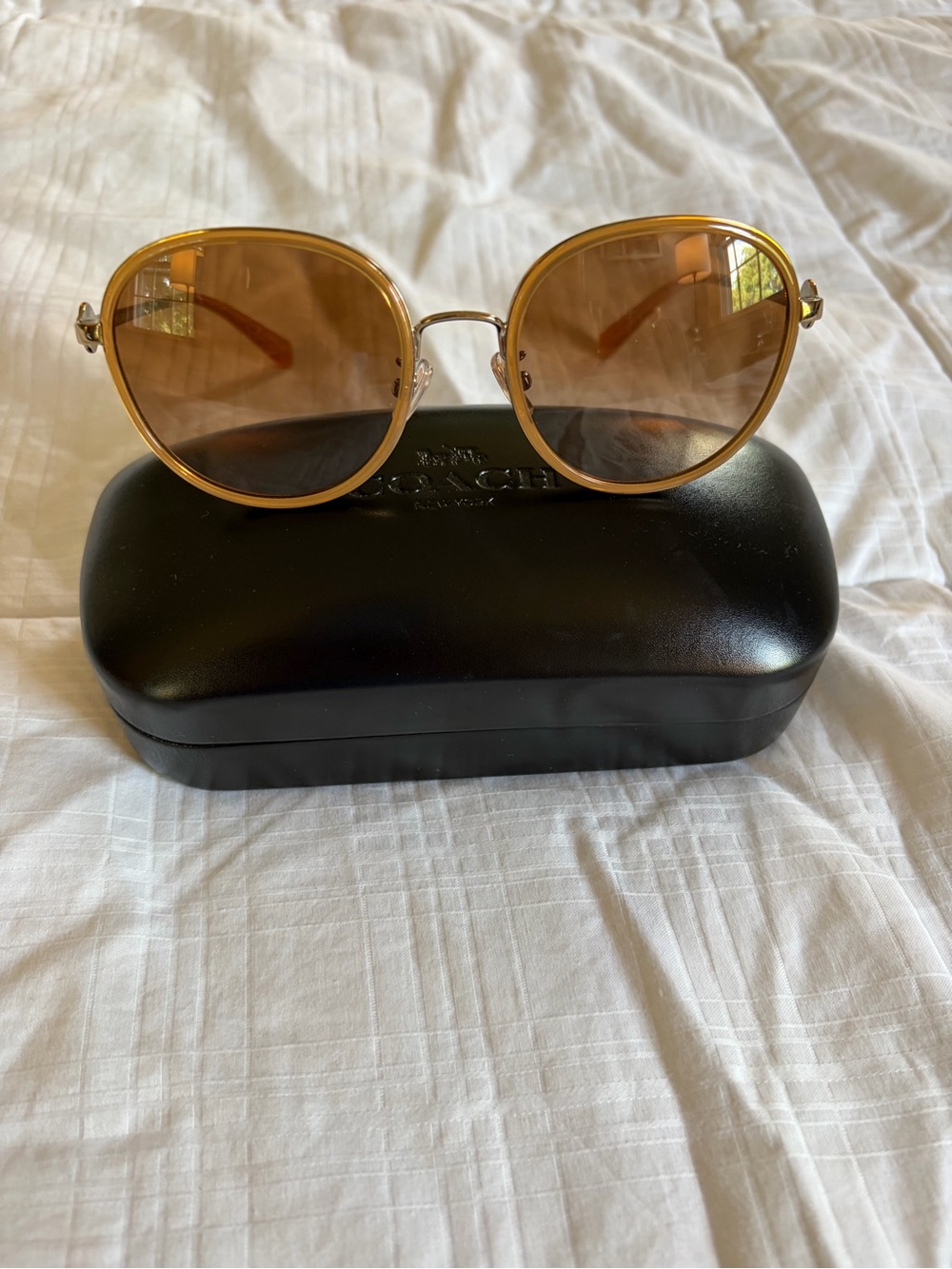 Coach Women's Gold Frame Brown Lens Sunglasses